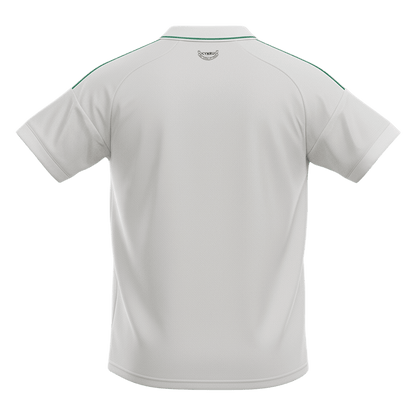 Wales Away Soccer Jersey World Cup 2026